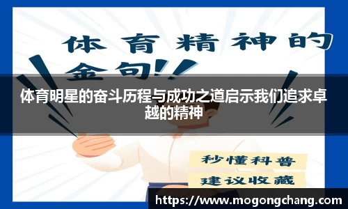 体育明星的奋斗历程与成功之道启示我们追求卓越的精神