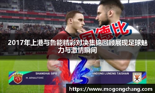 BB贝博