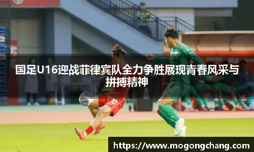 BB贝博艾佛森