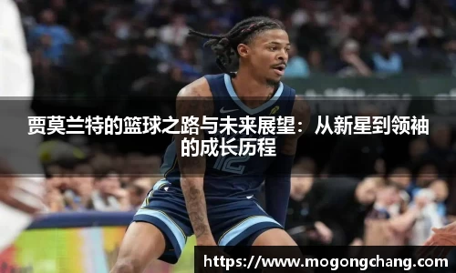 BB贝博ballbet