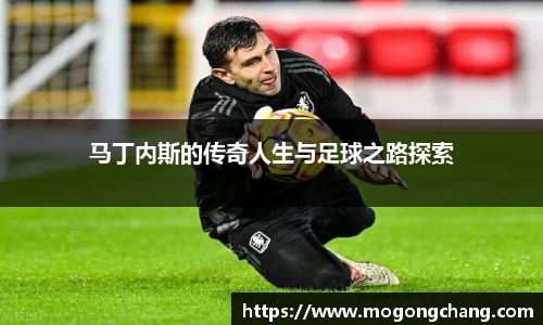 BB贝博ballbet