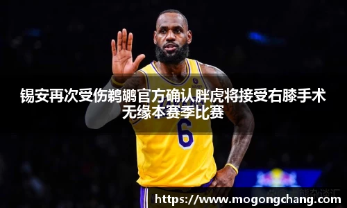 BB贝博艾佛森