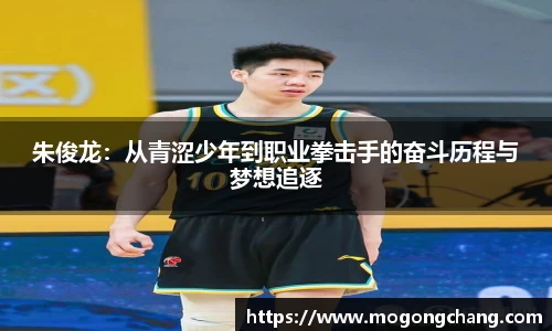 BB贝博