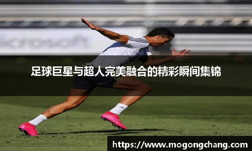 BB贝博登录入口