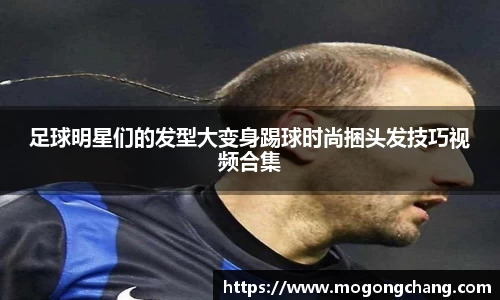 BB贝博登录入口